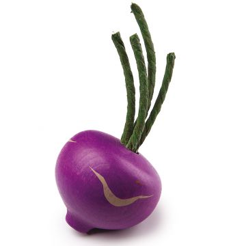 Turnipsi