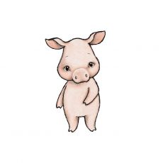 Wall sticker - Cassie the Pig