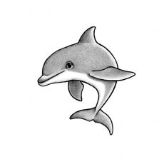 Seinätarra, Dylan the dolphin