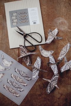 Paperikoriste, 3D DIY Linnut