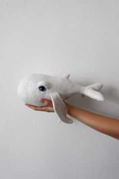 Mini Albino Whale