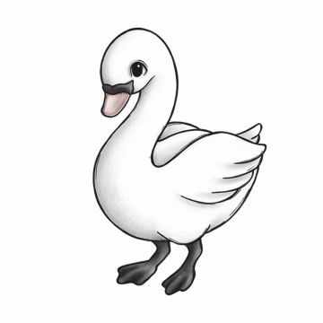 Seinätarra, Siri the Swan